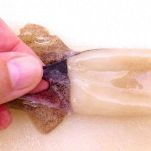 Insalata con calamaretti