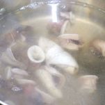 Insalata con calamaretti