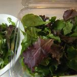 Insalata con calamaretti