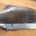 Involtini di sogliola con gamberi