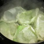 Involtini di verza e seitan