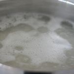 Involtini di verza e seitan