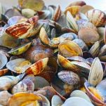Linguine con vongole funghi e olive