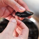 Maltagliati ai frutti di mare