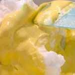 Mattonella gelata di fichi