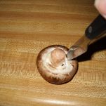 Pasta ai funghi con fontina e tartufo bianco
