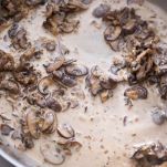 Pasta ai funghi con fontina e tartufo bianco