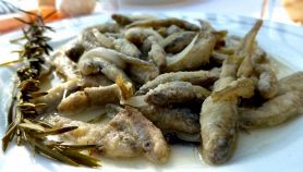 Latterini in carpione