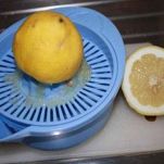 Petto di pollo tonnato