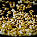 Ravioli con ripieno di ricotta e noci