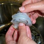 Riso e gamberetti alla bengalese