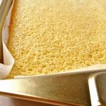 Rotolo ai frutti di bosco