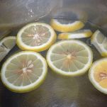 Salmone in bellavista