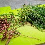 Sformato con la barba