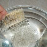 Sformato di ricotta e salmone con il Bimby