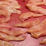 Tacchino con le patate