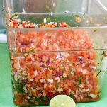 Tartare di trota su pane di segale