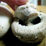 Terrina con patate e champignon