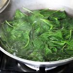 Tortelloni di carne ricotta e spinaci
