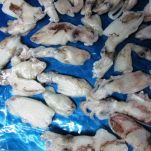 Trenette al nero di seppia con calamaretti