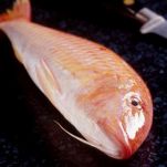 Triglie al cartoccio