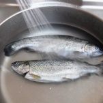 Trota alla Valdostana