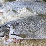 Trote ai porcini