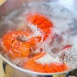 Aragosta alla Newburg