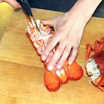 Aragosta alla Newburg