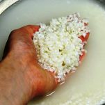 Arancine di Santa Lucia