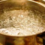 Aspic di pollo alla Viennese