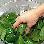 Cotechino in crosta con spinaci e lenticchie