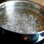 Farfalle zafferano zucchine e speck