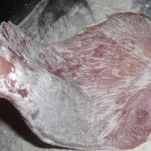 Fette di vitello al forno