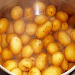 Flan di patate