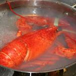 Gnocchetti al mare di Sardegna