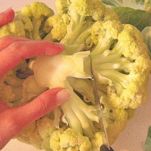 Insalata di cavolo e mele