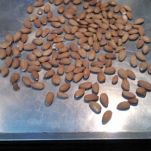 Insalata di fagiolini e mandorle