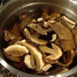 Pasticcio di carne ai porcini