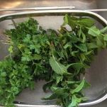 Pesto alla menta con il Bimby