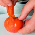 Spaghetti con cannolicchi