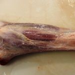 Stinco di vitello alle prugne