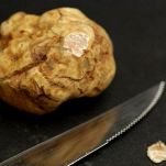 Tartine dell&#8217;amore