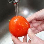 Zuppa mista di conchiglie