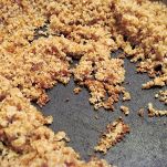 Anolini alla parmigiana