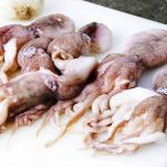 Antipasto di moscardini