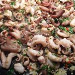 Antipasto di moscardini