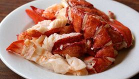 Aragosta all'americana