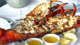 Aragosta al forno: ricetta alla Rodolfo Valentino