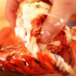 Aragosta alla Thermidor
